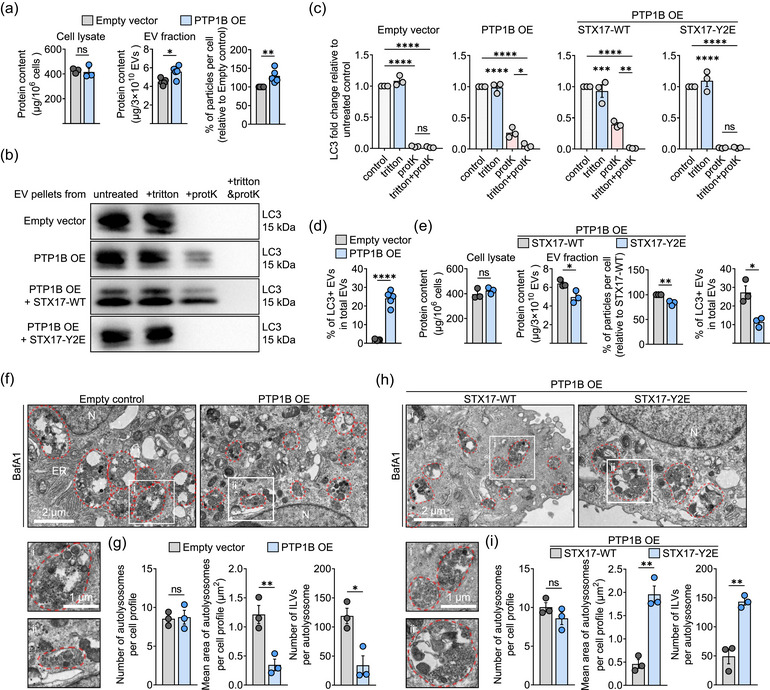外泌体技术服务 外泌体技术服务
