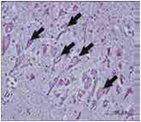 2217032276611215.png 图片4.png