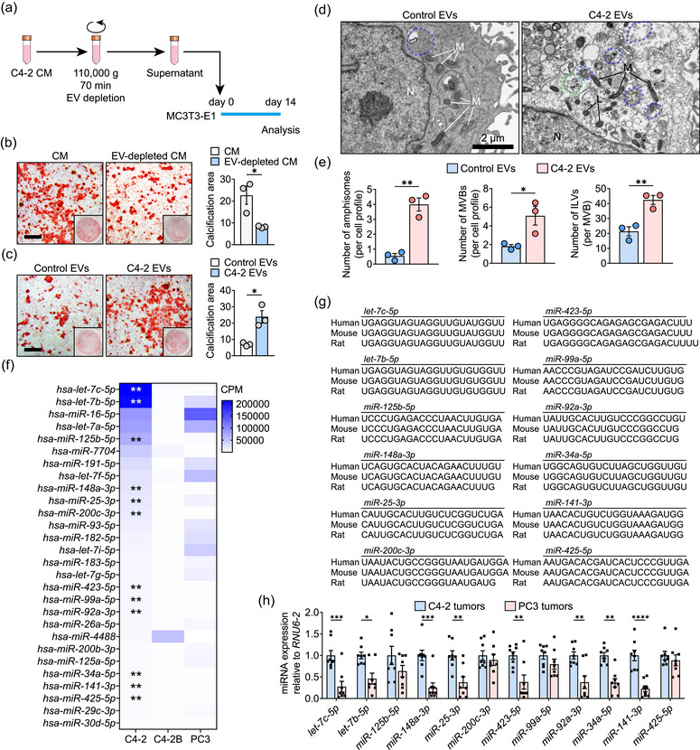 外泌体技术服务 外泌体技术服务