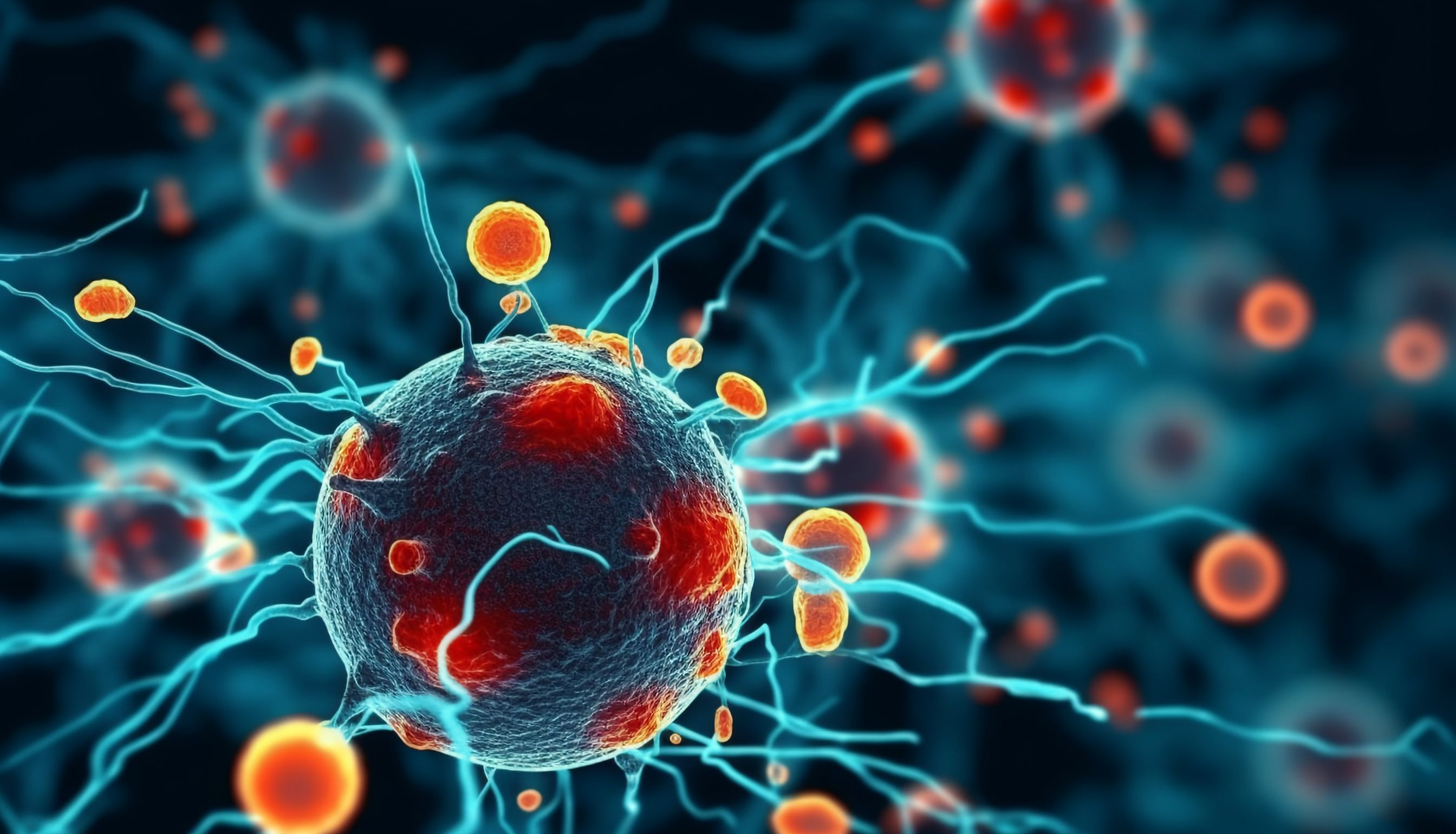 ADC抗体开发 | 加速ADC抗体药物研发进展