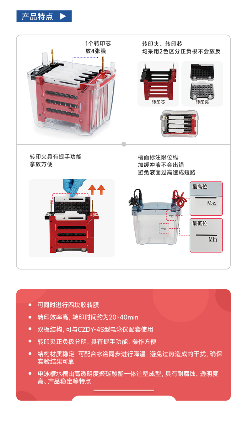 拓赫ZYDY-4S分体式转印电泳仪水平电泳槽凝胶琼脂糖微型转