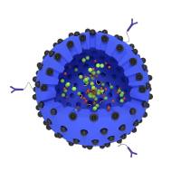 介孔二氧化硅纳米胶囊（MSNCs）负载T 型钙通道的 siRNA 和多柔比星（Dox）