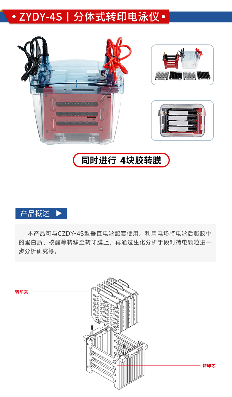 拓赫ZYDY-4S分体式转印电泳仪水平电泳槽凝胶琼脂糖微型转