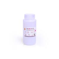 抗体剥离液（弱碱性）