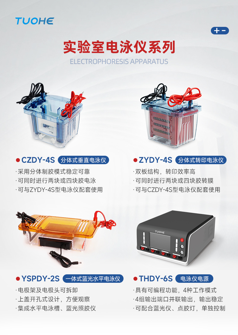 拓赫ZYDY-4S分体式转印电泳仪水平电泳槽凝胶琼脂糖微型转