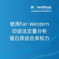 使用Far-Western印迹法定量分析蛋白质结合亲和力