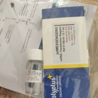 Roche X-tremeGENE™ HP DNA转染试剂