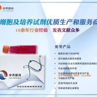 人脉络膜成纤维细胞