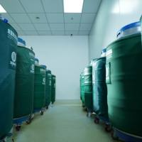 原代细胞永生化 ATCC 小大鼠原代细胞厂家 人源细胞 自有细胞库 厂家直销