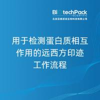 用于检测蛋白质相互作用的远西方印迹工作流程