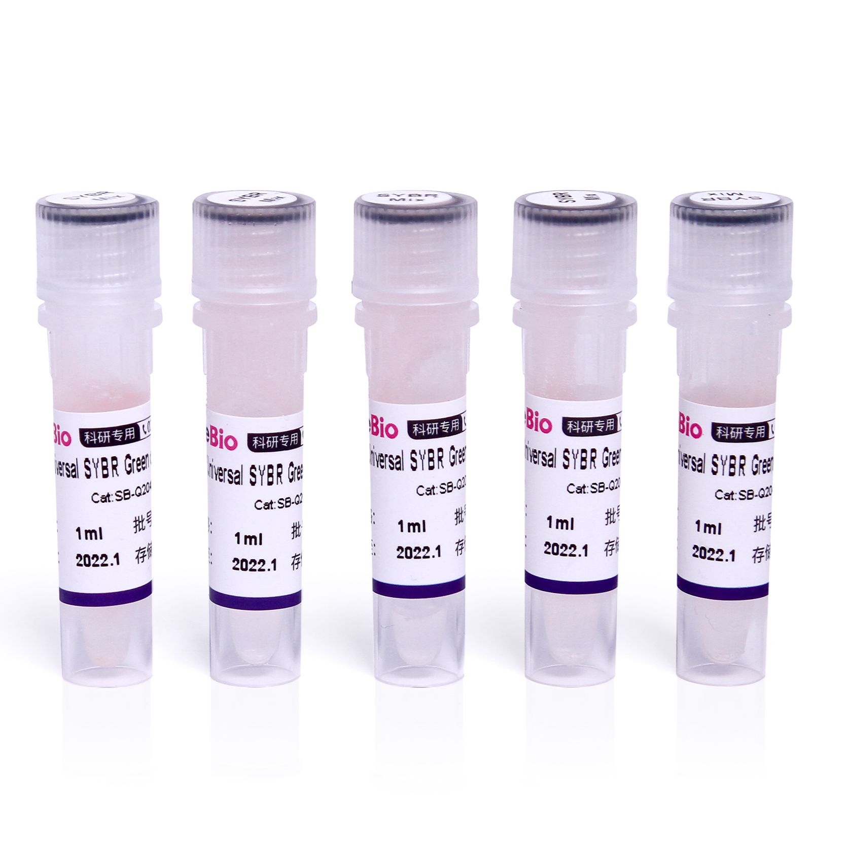 2*Universal SYBR Green qPCR Premix