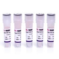 2*Universal SYBR Green qPCR Premix