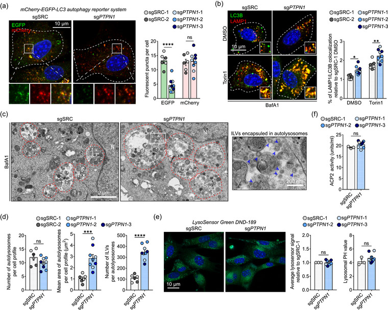 外泌体技术服务 外泌体技术服务