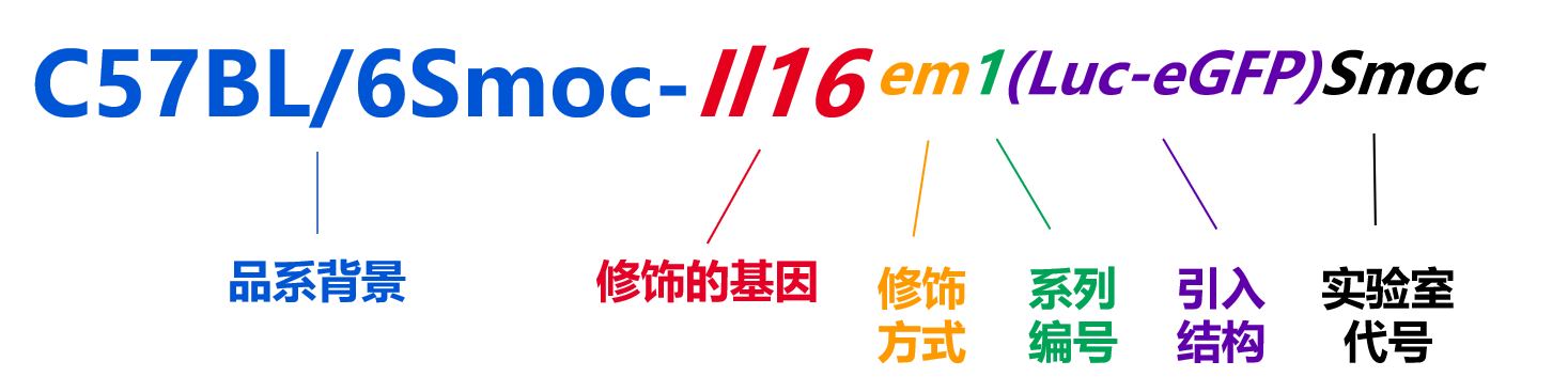 基因编辑小鼠命名宝典