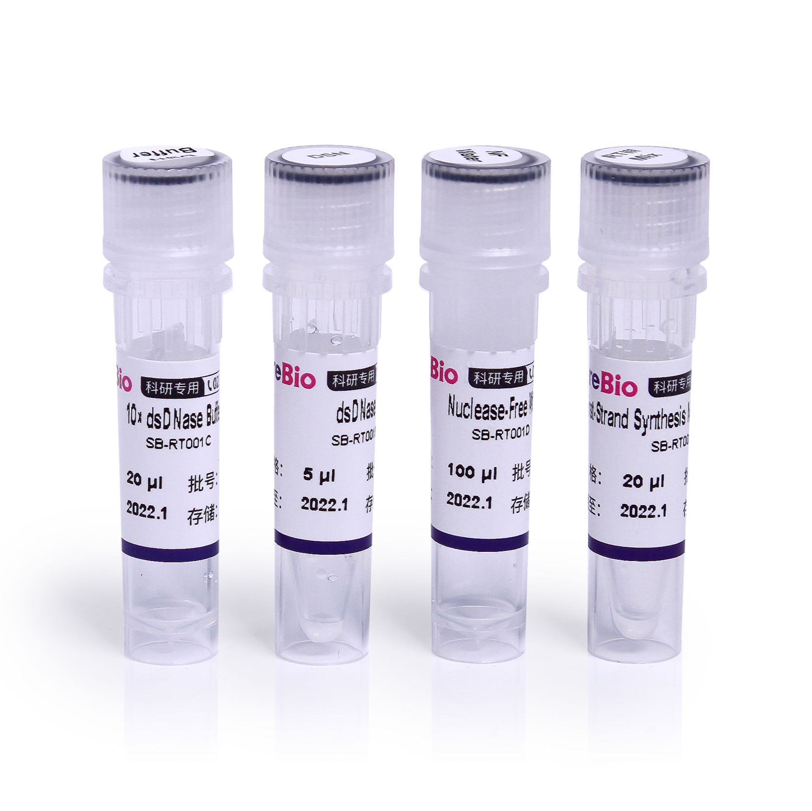 一管式反转录试剂盒(50℃,含基因组DNA去除酶及buffer)All-in-One First-Strand Synthesis MasterMix (with dsDNase)20 ul体系