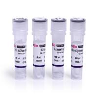 一管式反转录试剂盒（50℃，含基因组DNA去除酶及buffer）All-in-One First-Strand Synthesis MasterMix (with dsDNase)20 ul体系