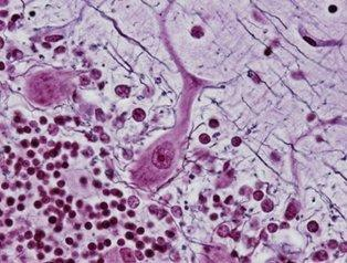 2217032274847420.png 图片2.png