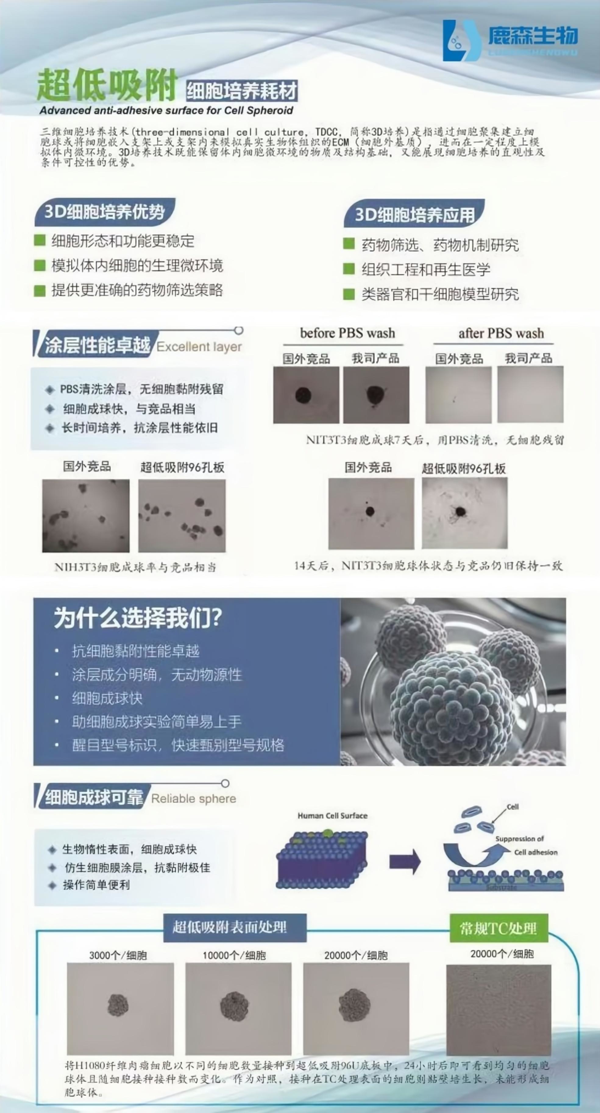 24孔细胞培养板(超低吸附)，替代Nunc【174930】