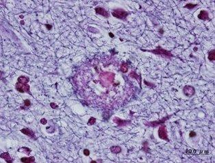 2217032274994543.png 图片3.png