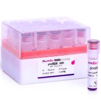 gelred核酸染料/gelgreen核酸染料（安全无毒）