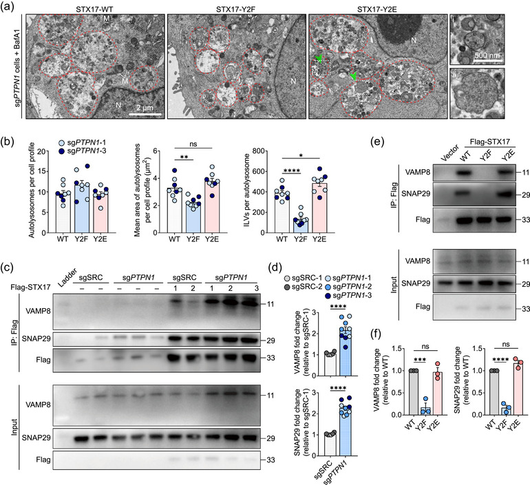 外泌体技术服务 外泌体技术服务