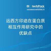 远西方印迹在蛋白质相互作用研究中的优缺点