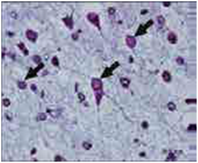 2217032276717233.png 图片5.png