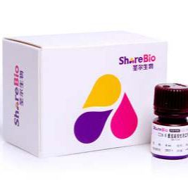 圣尔CCK8细胞增殖检测试剂盒