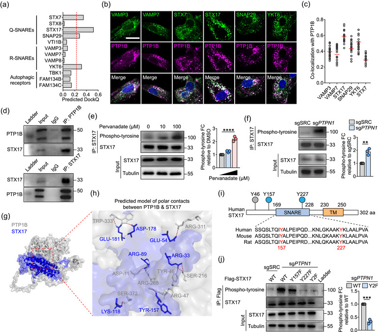 外泌体技术服务 外泌体技术服务