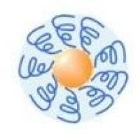 聚 β 氨基硫脂纳米粒包载mRNA