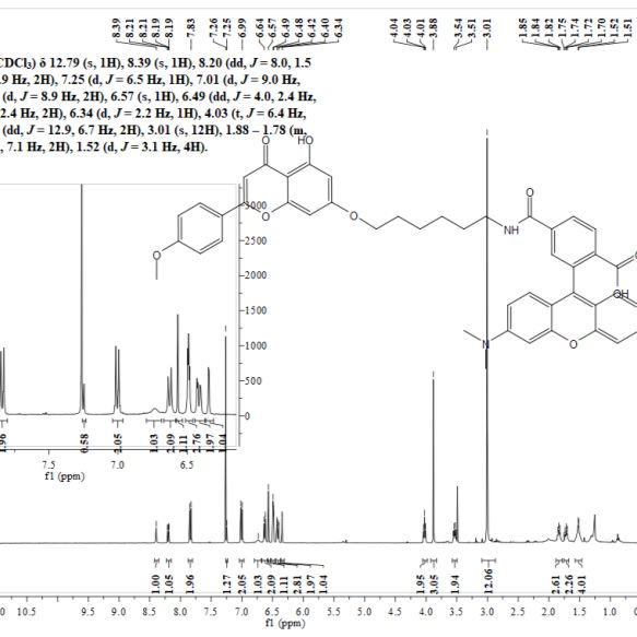 小分子荧光标记服务