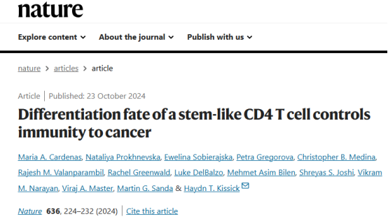 《Nature》：干细胞样CD4 T细胞的分化控制着抗肿瘤免疫
