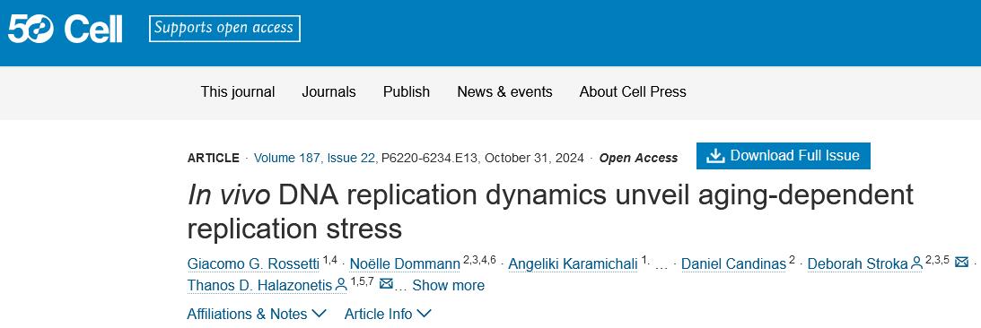 Science：抑制PDK4激酶可逆转衰老，促进肝再生