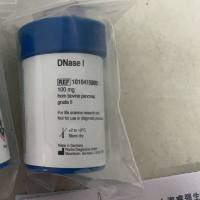 Roche货号10104159001脱氧核糖核酸酶(DNase I)上海睿安生物