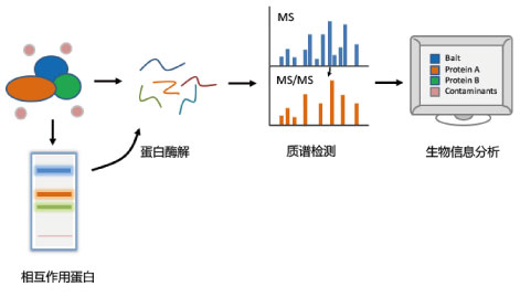 蛋白组测序
