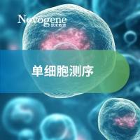 单细胞测序
