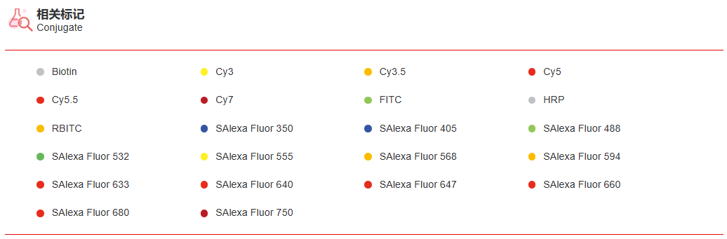 K115402P Anti-TIMM9 Polyclonal