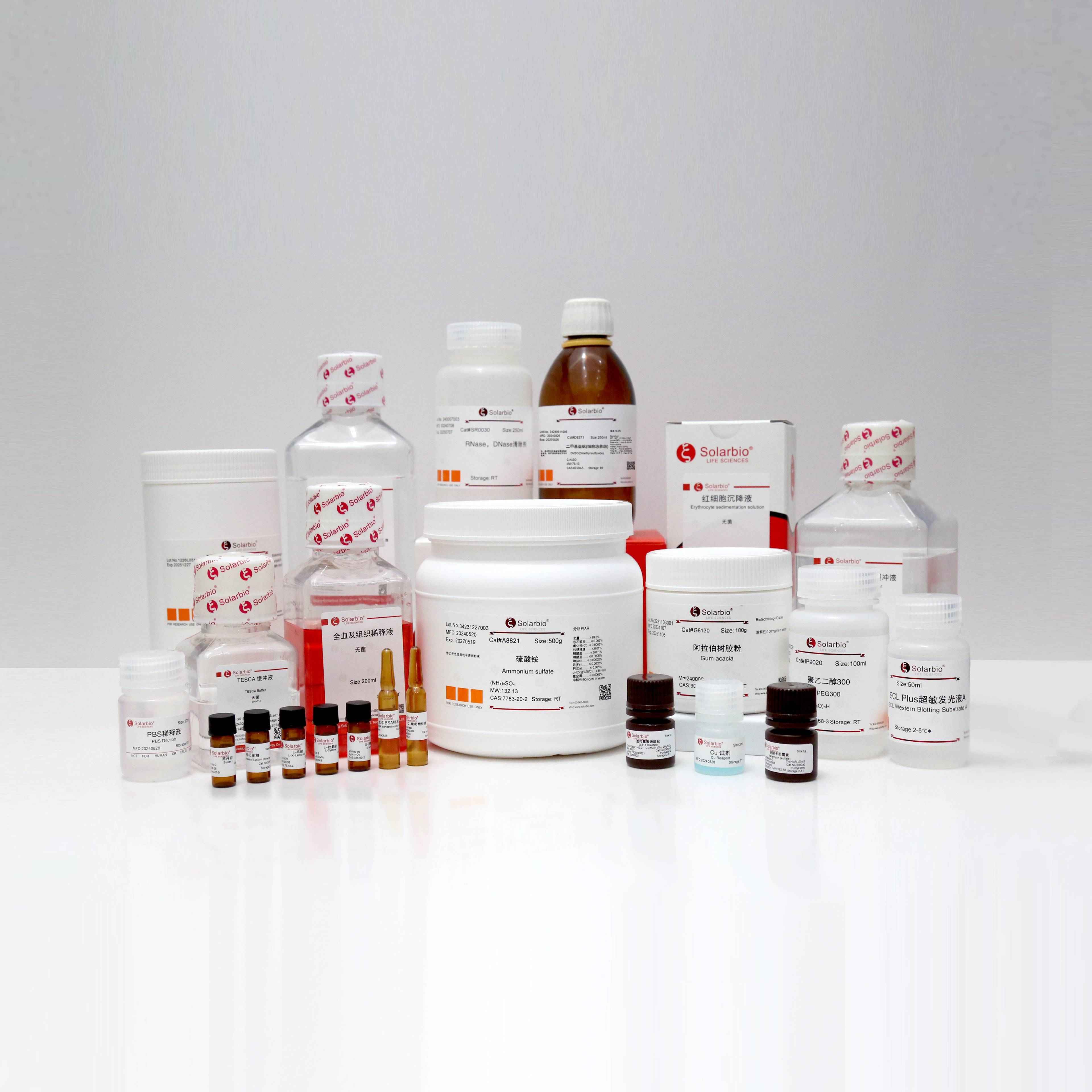 K115402P Anti-TIMM9 Polyclonal