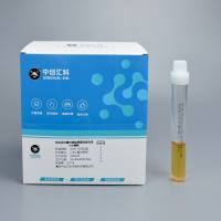 改良月桂基硫酸盐胰蛋白胨肉汤(万古霉素)