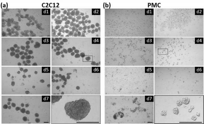 技术资料图片13