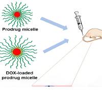 季铵化壳聚糖(CS)纳米粒被透明质酸(HA)包裹