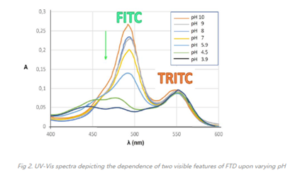 活体显微检测-荧光双标-葡聚糖（FITC-TRITC-dex