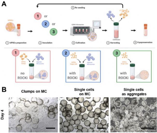 技术资料图片10