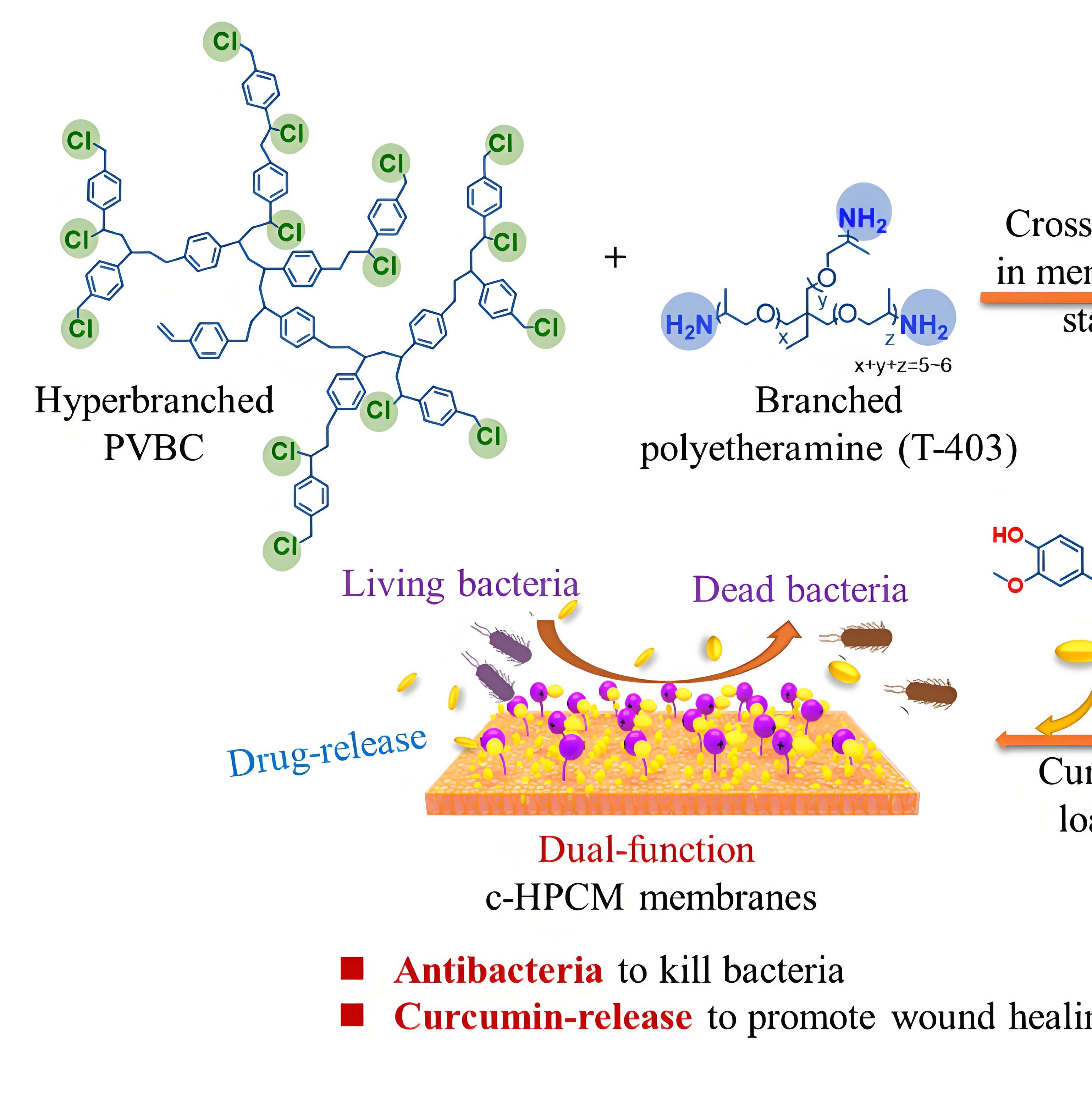 负载PLXDC1 siRNA的壳聚糖（CS）纳米粒被透明质酸(HA) 修饰