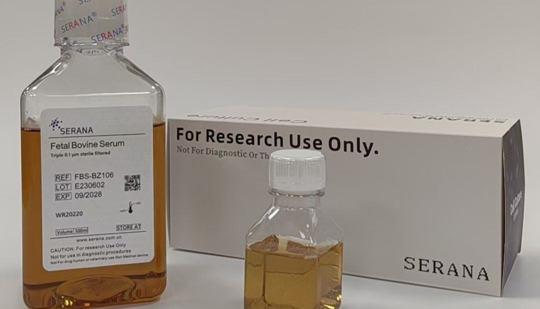 SERANA 血清 正装免费送！免费送！！免费送！！！