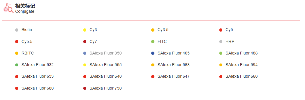 K115353P Anti-MKS1 Polyclonal 