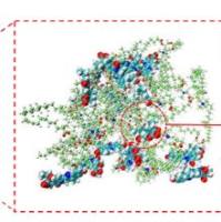 负载阿霉素(DOX)和CRISPR-Cas9 表达质粒的叶酸(FA)-2 - (二异丙基氨基)乙基甲基丙烯酸酯双重接枝的三甲基壳聚糖(CS)纳米粒