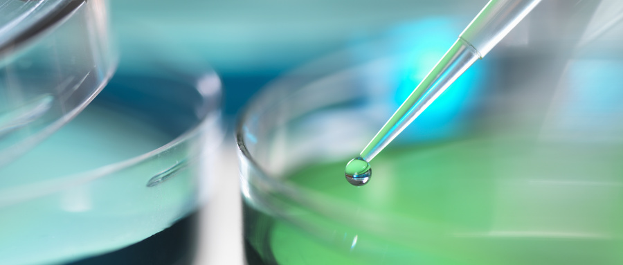 mTOR调节相关蛋白(R1)