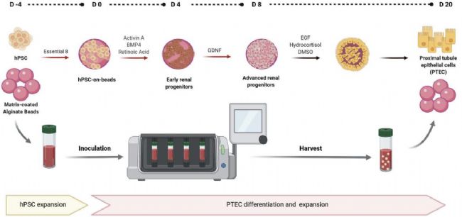 技术资料图片12