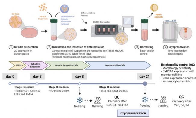 技术资料图片11